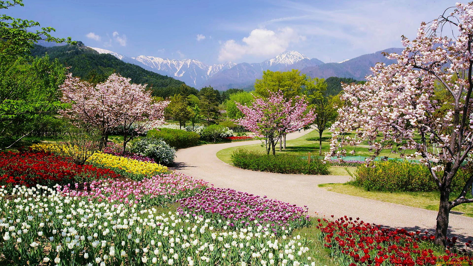 Цветущие сады Альпы